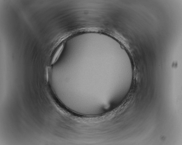 X0000098010013200804181148