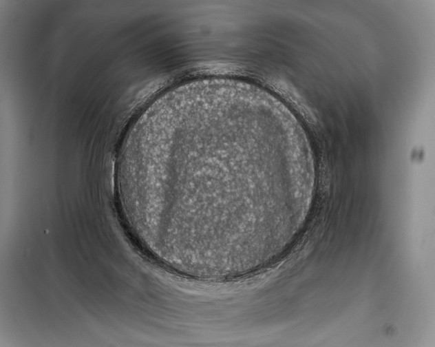 X0000098010014200804181148