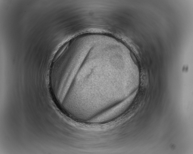 X0000098010015200804181148