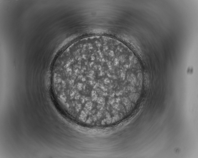 X0000098010016200804181148