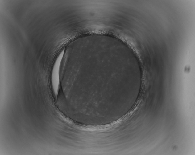 X0000098010017200804181148