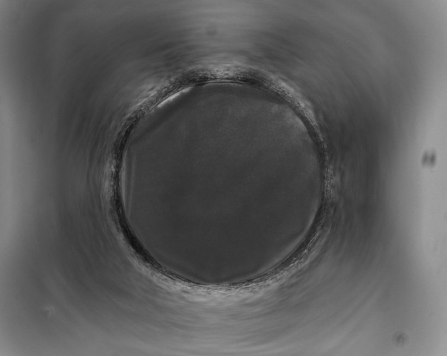 X0000098010018200804181148