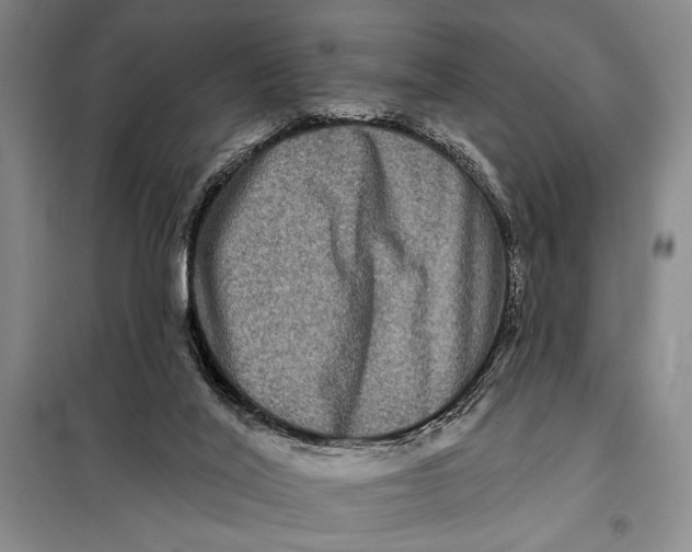 X0000098010020200804181147