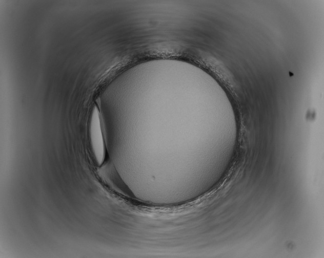 X0000098010021200804181147