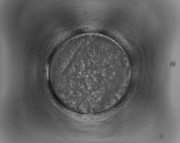 X0000098010022200804181147