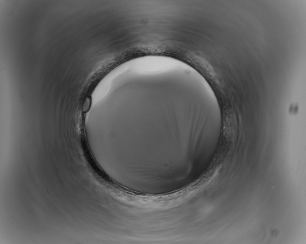 X0000098010023200804181147