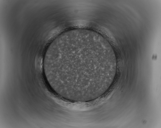 X0000098010024200804181147