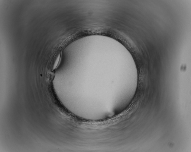 X0000098010025200804181147