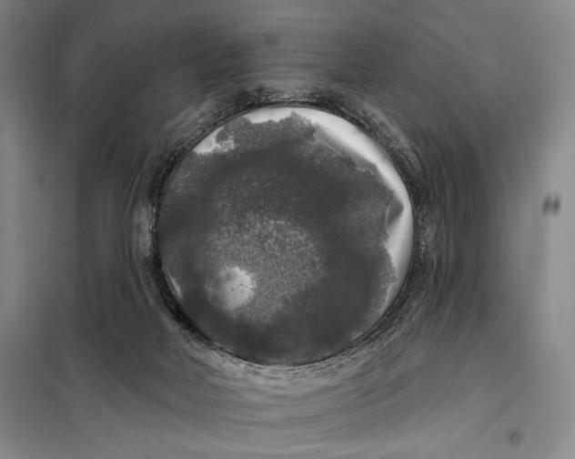 X0000098010026200804181147