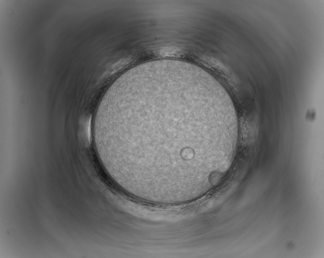 X0000098010028200804181147