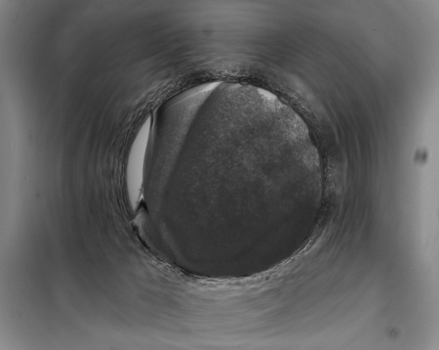 X0000098010029200804181147