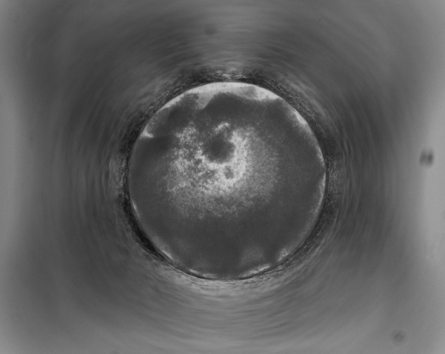 X0000098010030200804181147