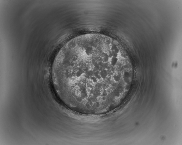 X0000098010032200804181147