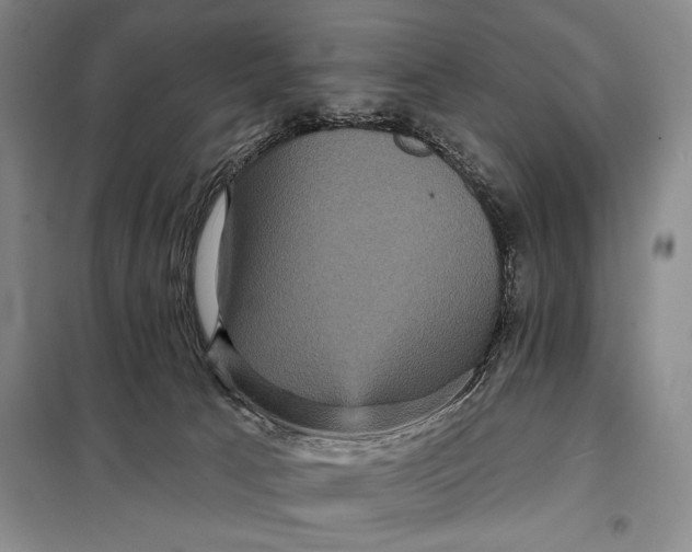 X0000098010033200804181147