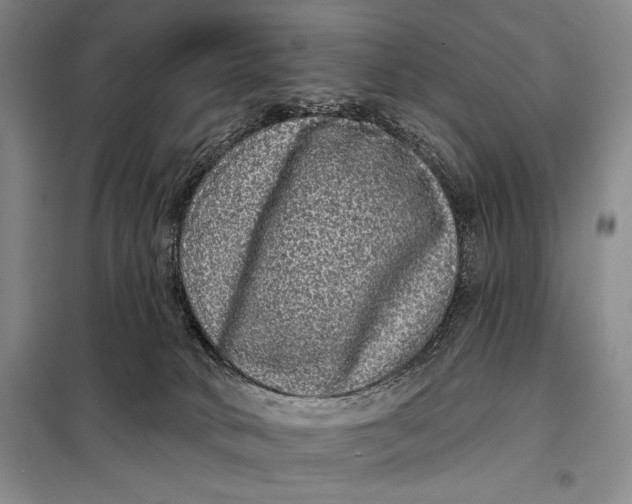 X0000098010034200804181147