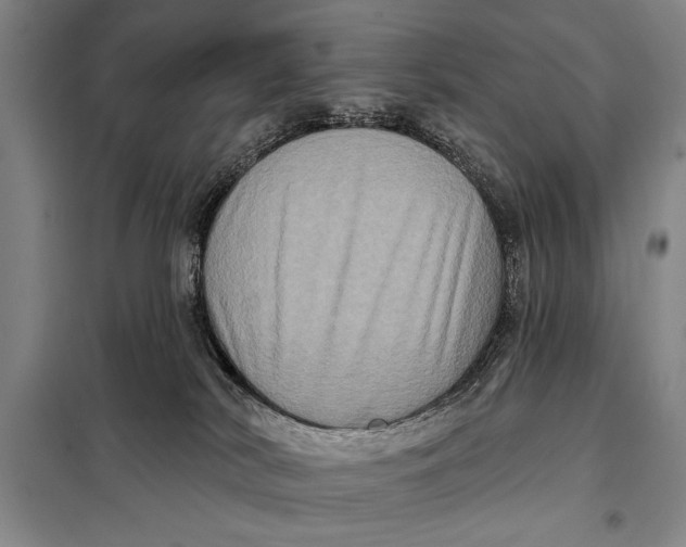 X0000098010038200804181147