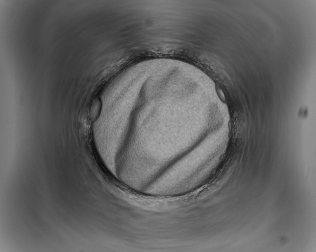 X0000098010040200804181147