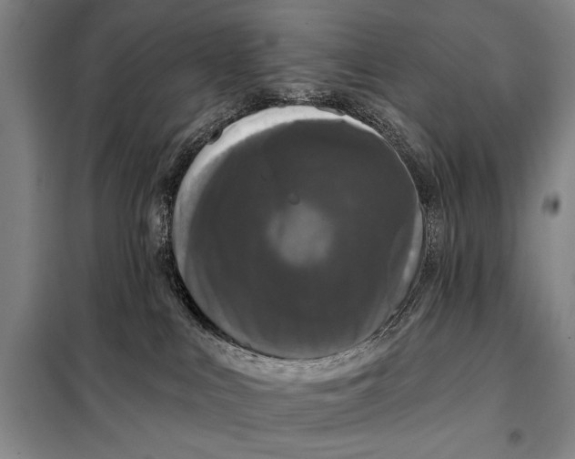 X0000098010043200804181147