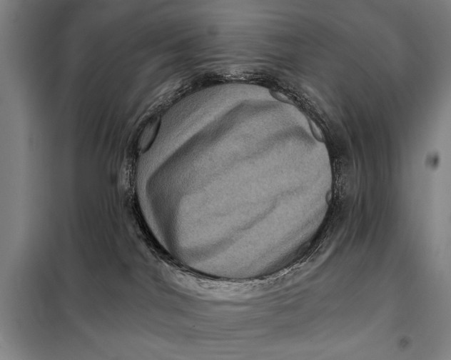 X0000098010044200804181147