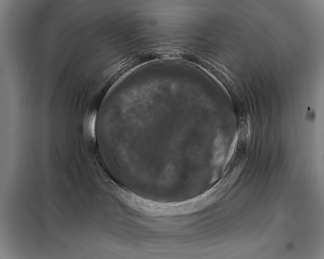 X0000098010047200804181147