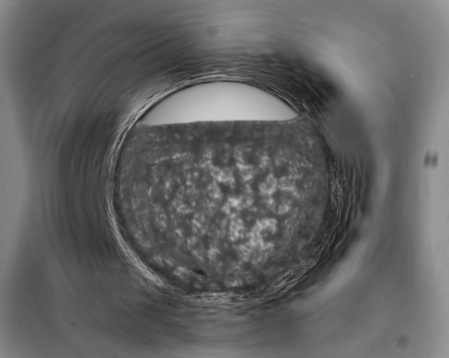 X0000098010049200804181146