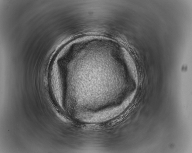 X0000098010050200804181146