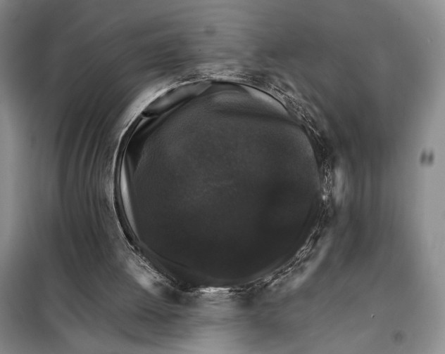 X0000098010052200804181146