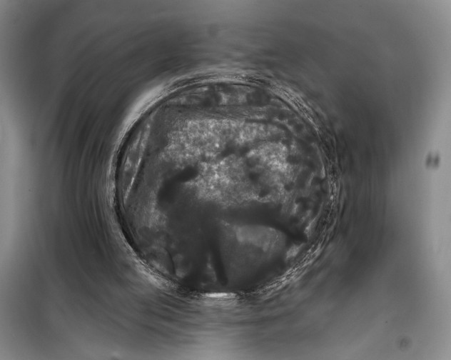 X0000098010053200804181146