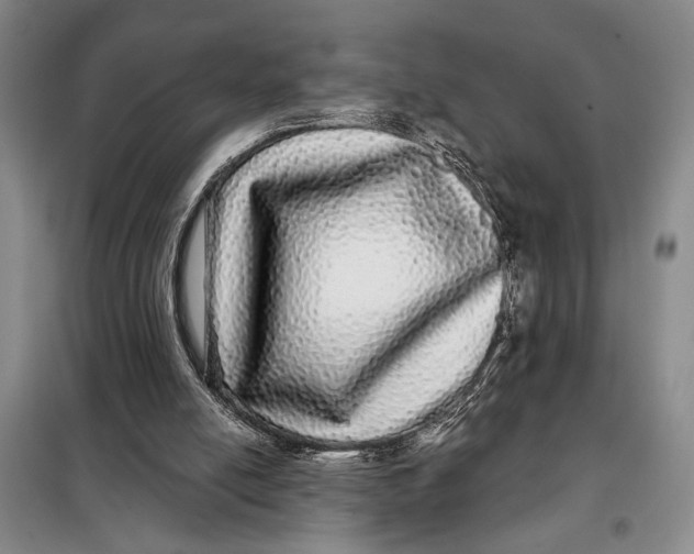 X0000098010054200804181146