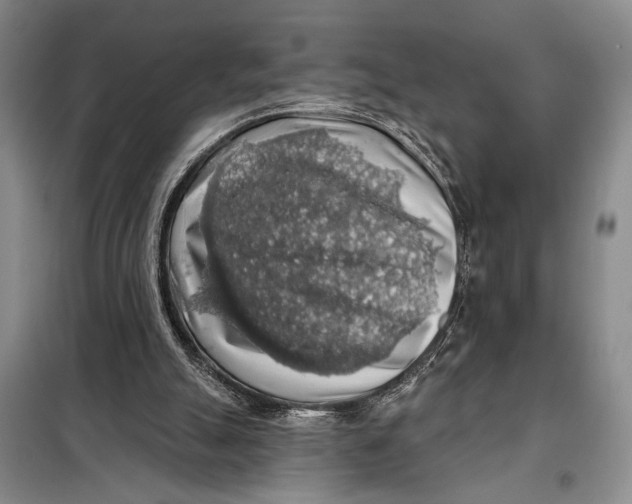 X0000098010055200804181147