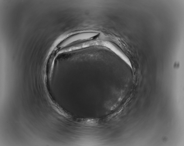 X0000098010056200804181147