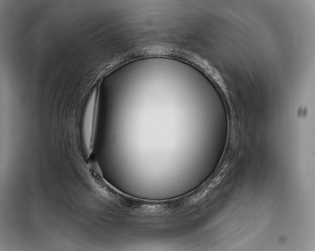 X0000098010057200804181147