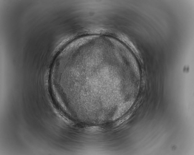 X0000098010058200804181147