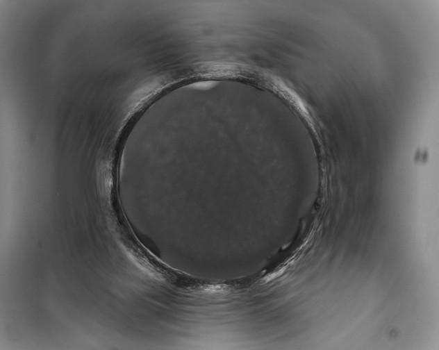 X0000098010059200804181147