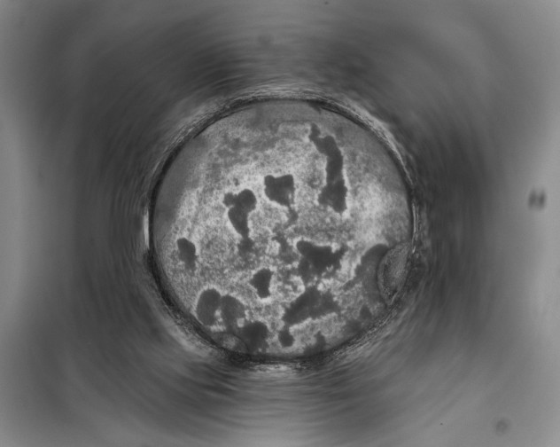 X0000098010061200804181147