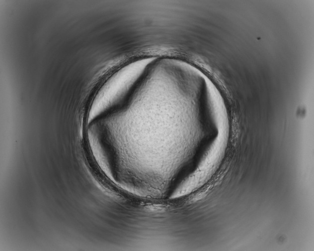 X0000098010062200804181147