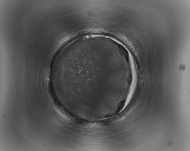 X0000098010063200804181147