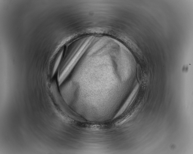 X0000098010064200804181147