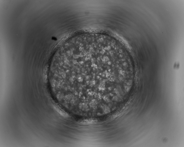 X0000098010065200804181147