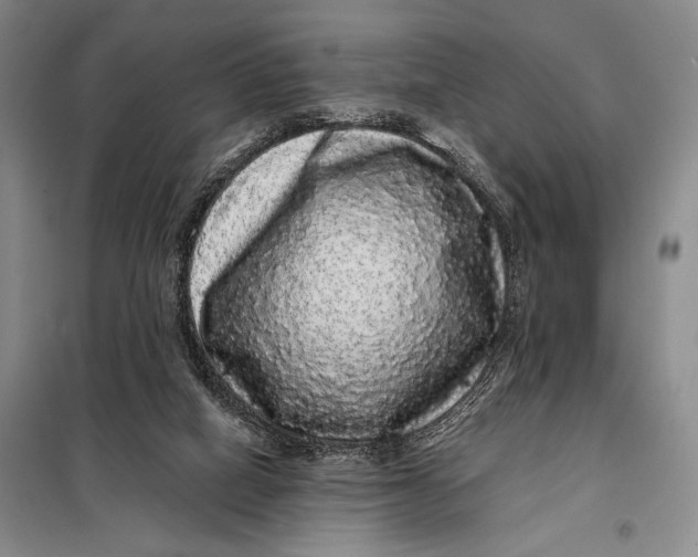 X0000098010066200804181147