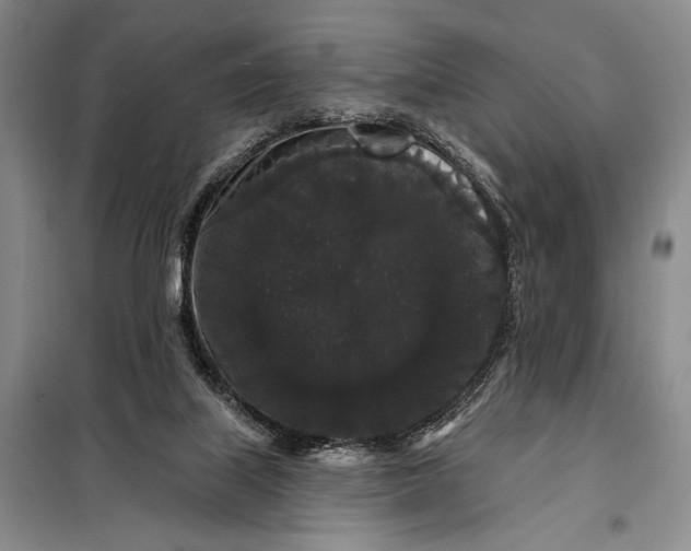 X0000098010067200804181147