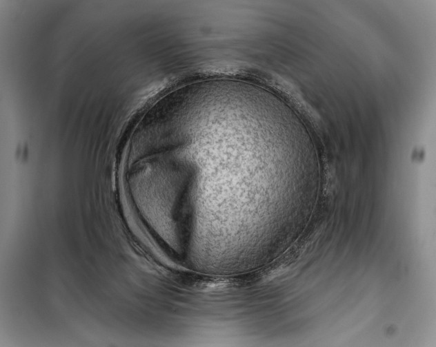 X0000098010068200804181147