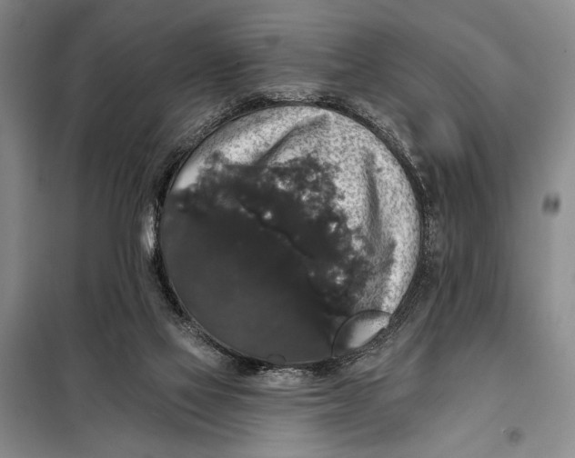 X0000098010069200804181147