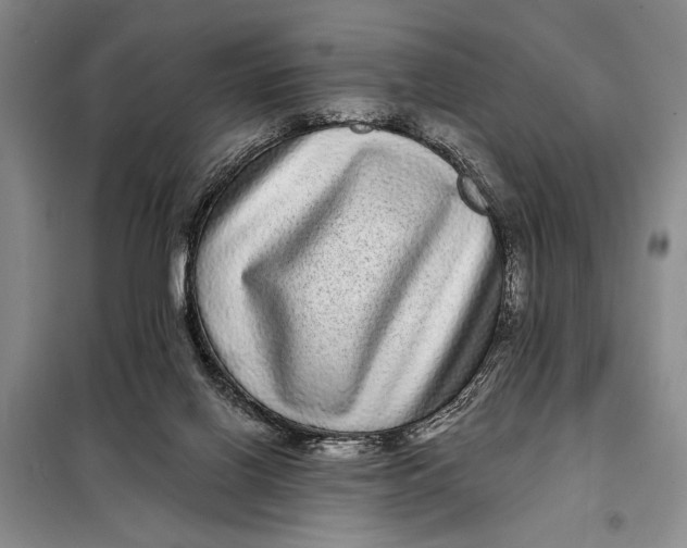 X0000098010070200804181147