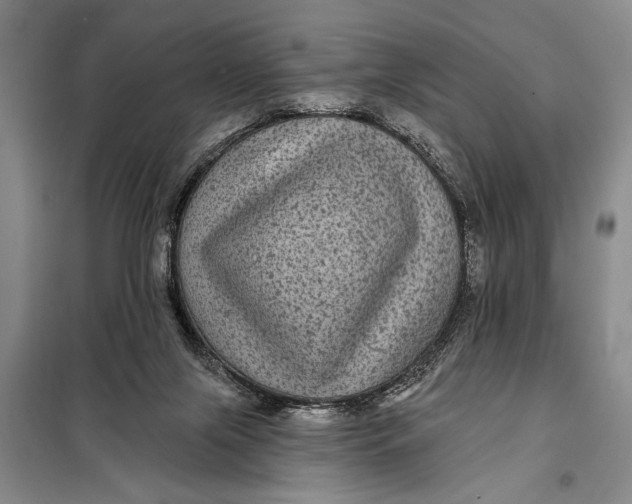 X0000098010071200804181147