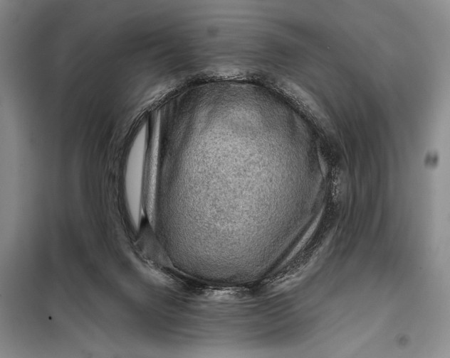 X0000098010072200804181147