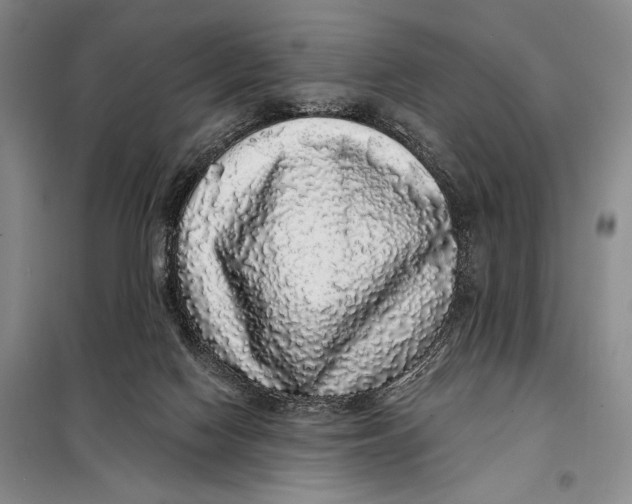 X0000098010074200804181147