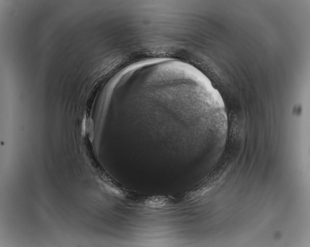 X0000098010076200804181147