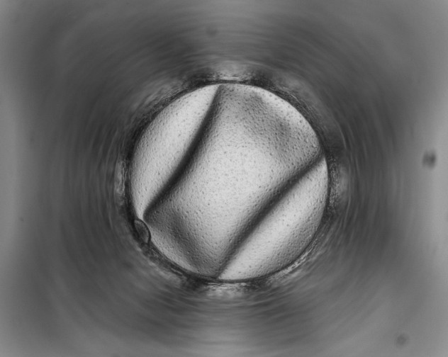 X0000098010078200804181147