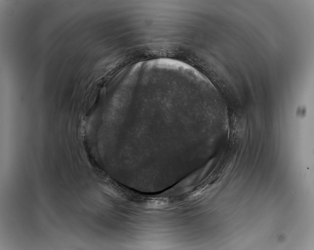 X0000098010080200804181147